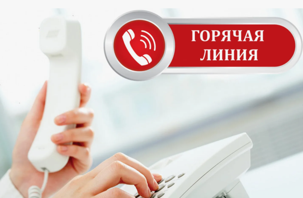 Телефон "горячей линии" 
